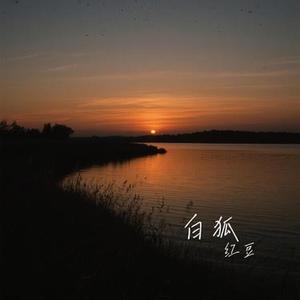 白狐 (Cover 王佳音)