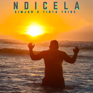 Ndicela