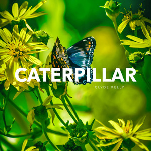 Caterpillar