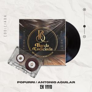 El Pajarillo (En Vivo) (En vivo)
