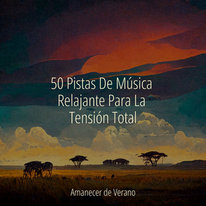 Halo Encantador de Luz