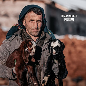 Perişanamın