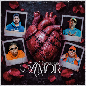 Não Sei Falar De Amor