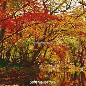 精彩水疗日环境