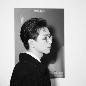 斑马斑马（cover 房东的猫）