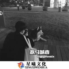 樱花树下的重逢 (DJ版)