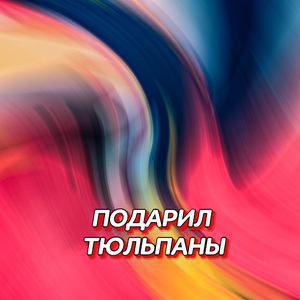 ПОДАРИЛ ТЮЛЬПАНЫ