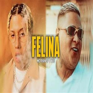 FELINA VERSÃO BH (feat. DJ RN)