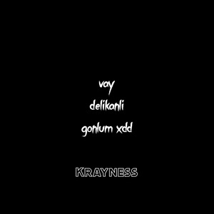 Vay Delikanlı Gönlüm Vay (Remix)