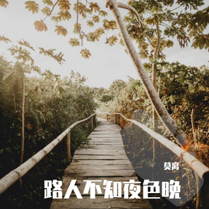 路人不知夜色晚