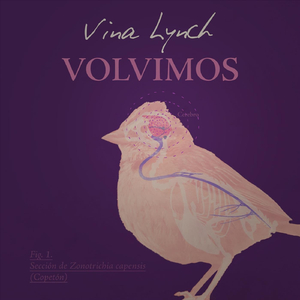 Volvimos