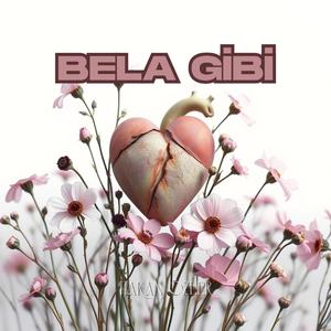 Bela Gibi