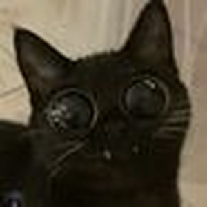 ALL THE WAY (slowed)