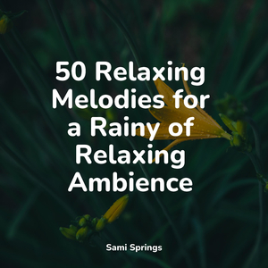 Underwater, River, Flowing