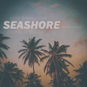 Seashore (Original mix)