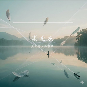 羽毛灰烬