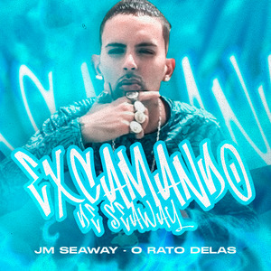 Excamando de Seaway