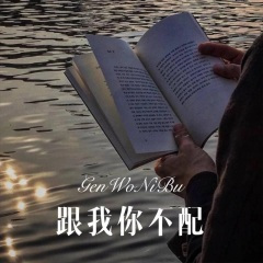 一个孤独的理由