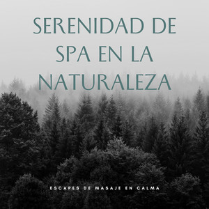 Serenidad Junto Al Lago