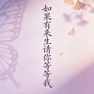 如果有来生请你等等我