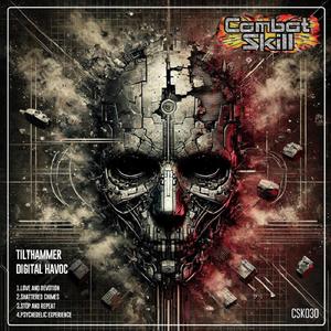 Psychedelic Experience