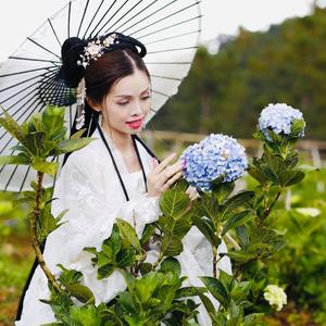 Tuyệt Vọng Beat Góc Chuẩn