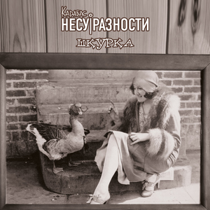 Шкурка