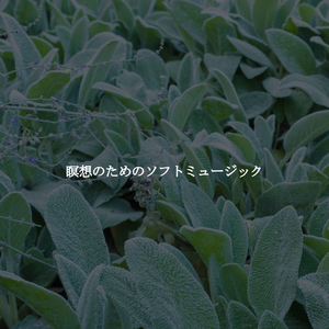 Cheerful Ambience for Rejuvenating January