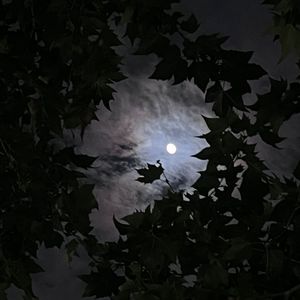 来时便留在来时