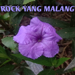 Rock Yang Malang
