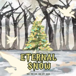Eternal snow