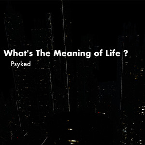 What's The Meaning Of Life ?