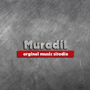 Tambur Muzikisi