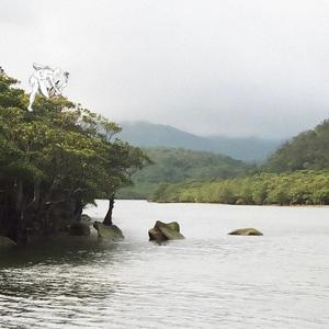 escolar