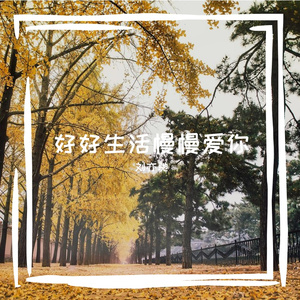 沉默的星