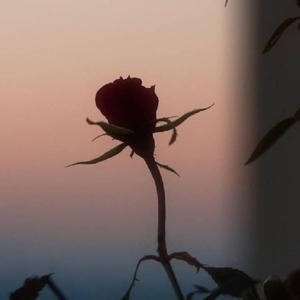 美梦始于欲望（Prod.by.Kayzee）