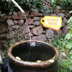 时光啊你慢些走（网易版）