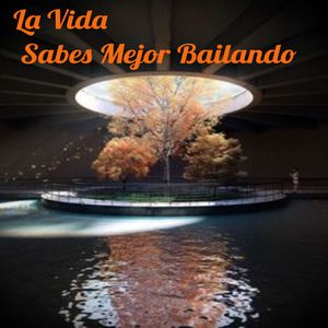 Bailar Es Un Arte