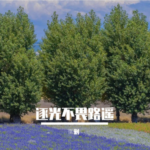 不屈的锋芒