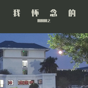 我怀念的