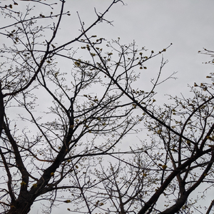 When Dad Came to Visit (Demo)