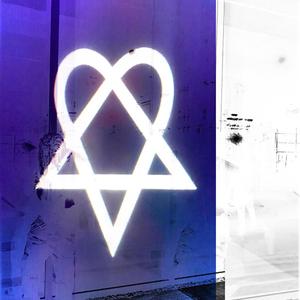 lights camera blamma