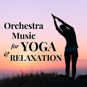 Symphony No. 5 In C Sharp Minor, Adiagietto