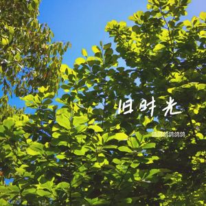 旧时光（回到那年的夏天）