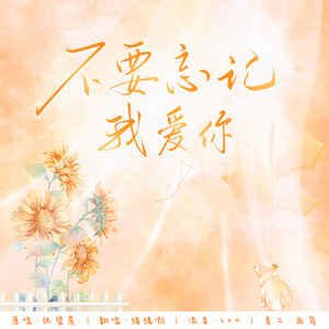 不要忘记我爱你