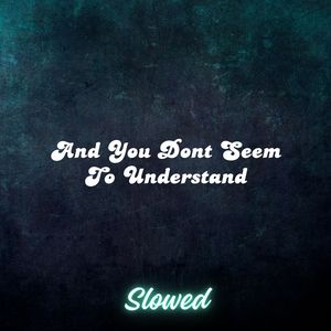 And You Don't Seem to Understand (Duvet) [Slowed]