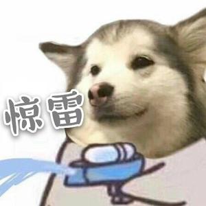 惊雷（超甜抒情版）（翻自 皮卡丘多多）