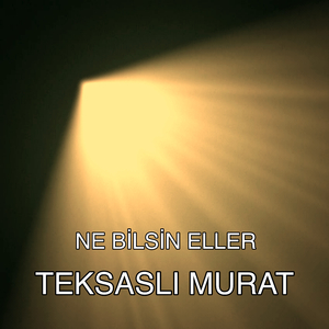 Ne Bilsin Eller