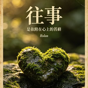 往事 是依附在心上的苔藓