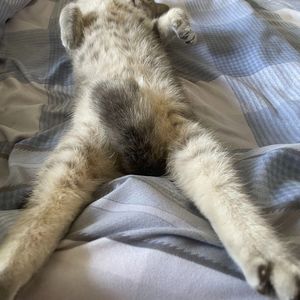 Aioz-痛快混音版（d黄老板 / 云正电 remix）